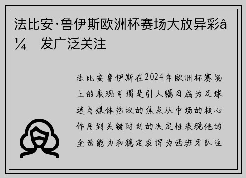 法比安·鲁伊斯欧洲杯赛场大放异彩引发广泛关注